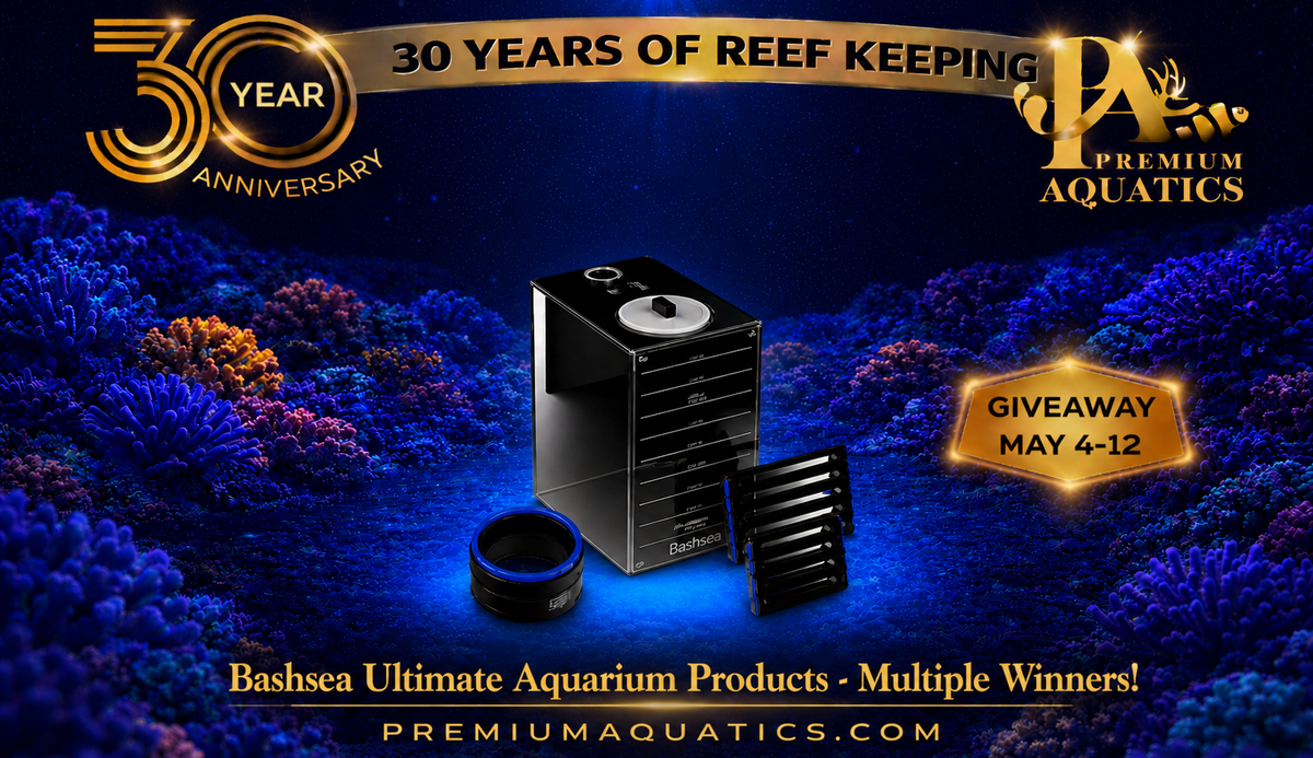 BASHSEA SITE.png