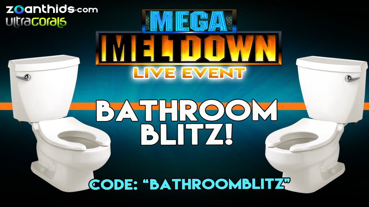 Bathroom-Blitz.jpg