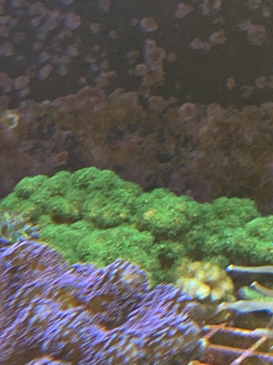 BB040799-267D-4B42-9DF5-E69AB3D9ABEA.jpeg
