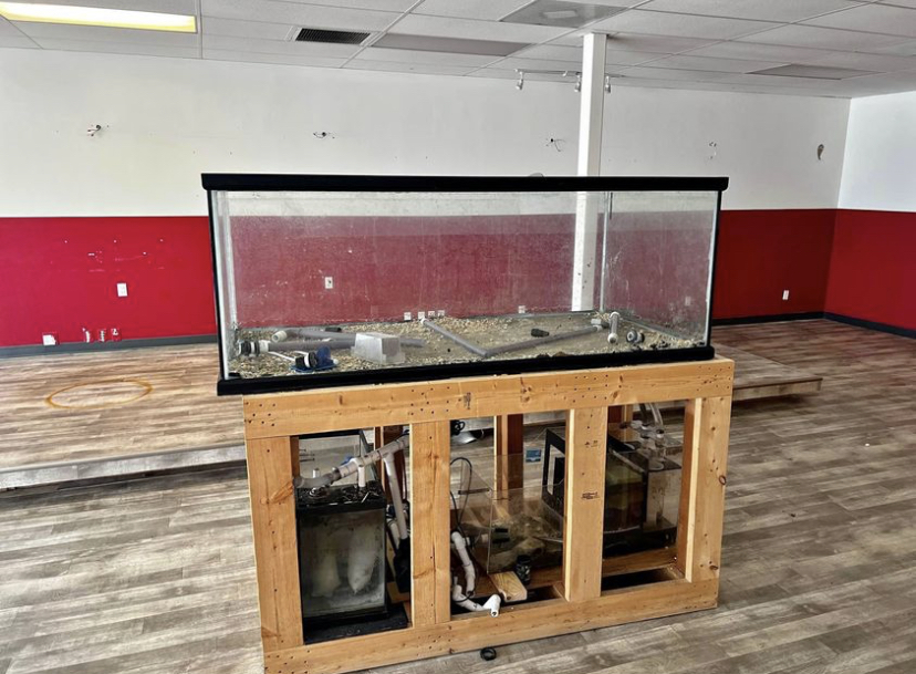 Large Build - Custom 300+ Gallon Tank Build | Reef2Reef