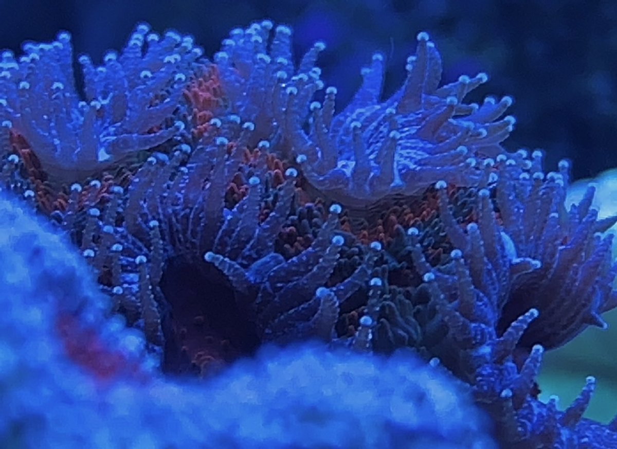 BBB64709-4D3B-4C09-A874-E117FFF859A8.jpeg