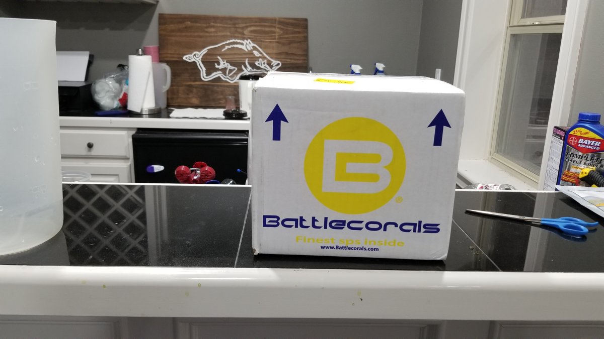 BC1.jpg