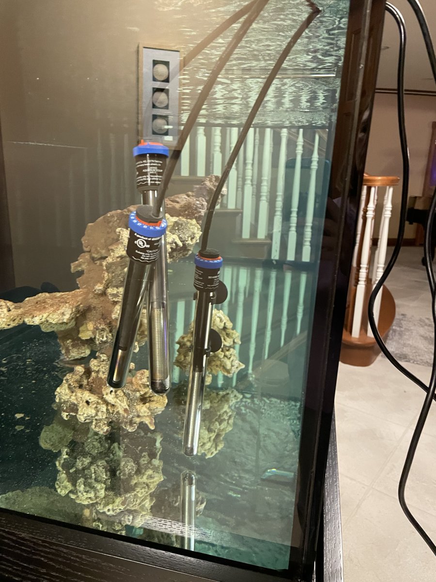 Build Thread - 270 Gallon 