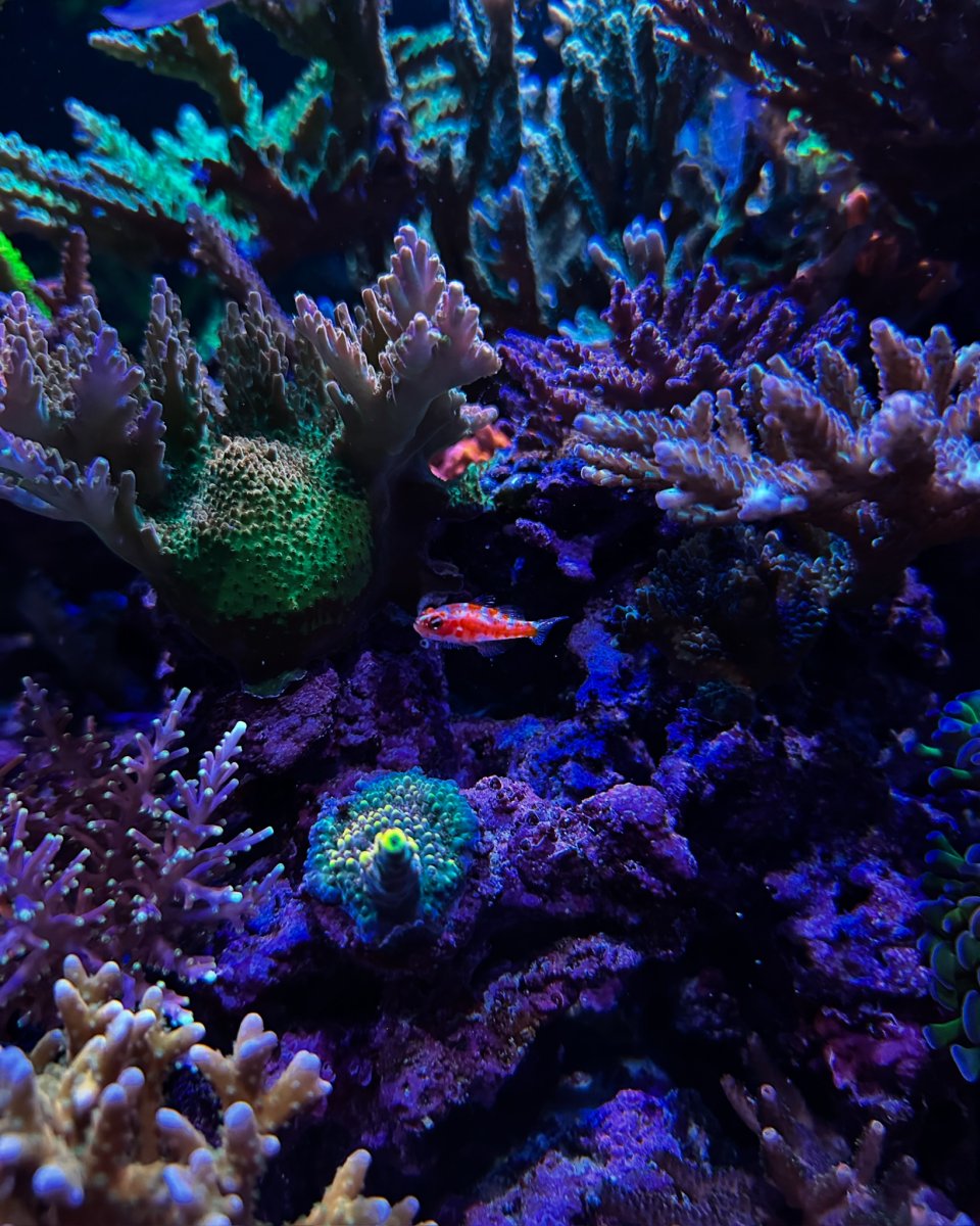 BD14FCE5-505B-40EF-B3BC-687C02A66D08.jpeg