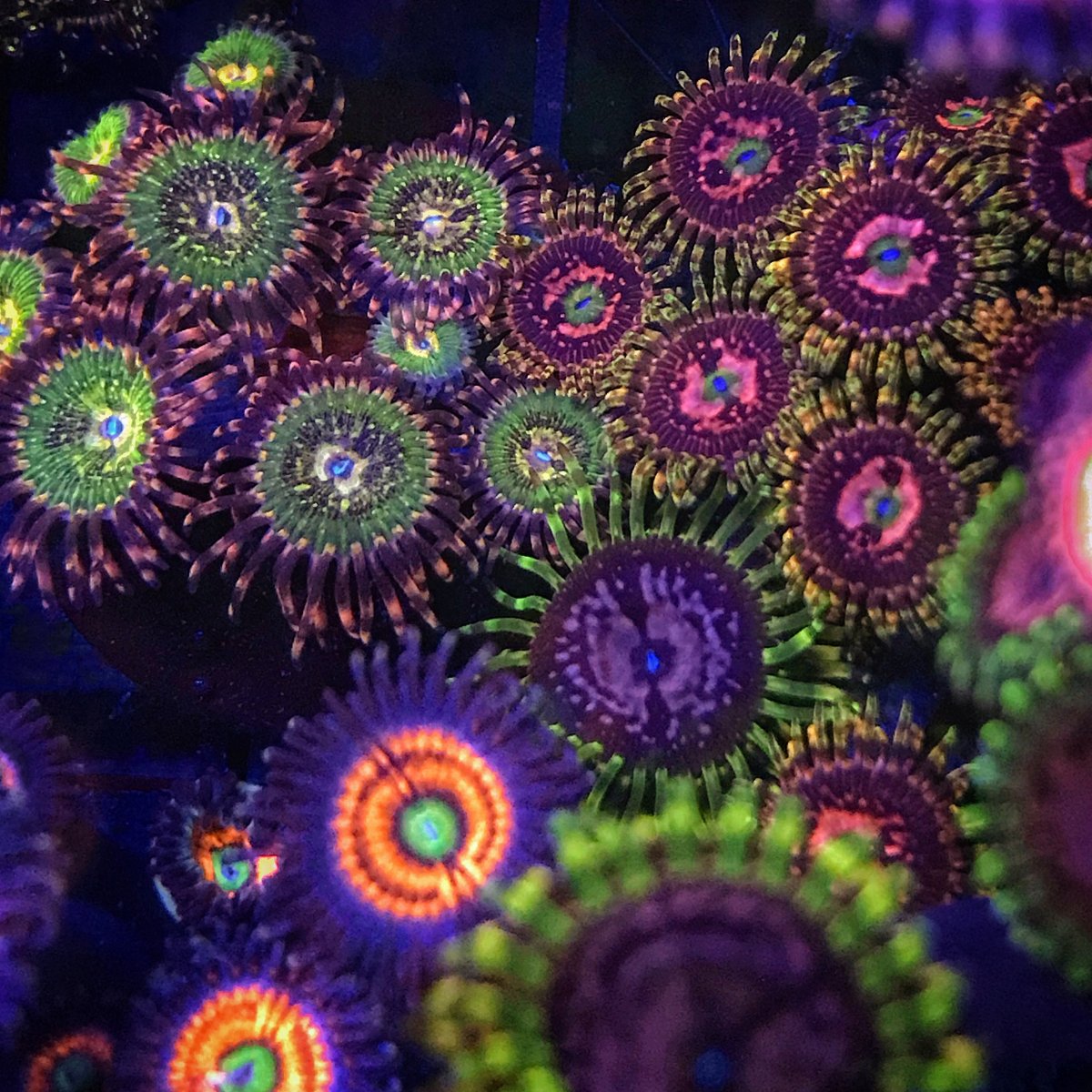 BD32918D-E731-4D35-9E50-C7CB808693C4.jpeg