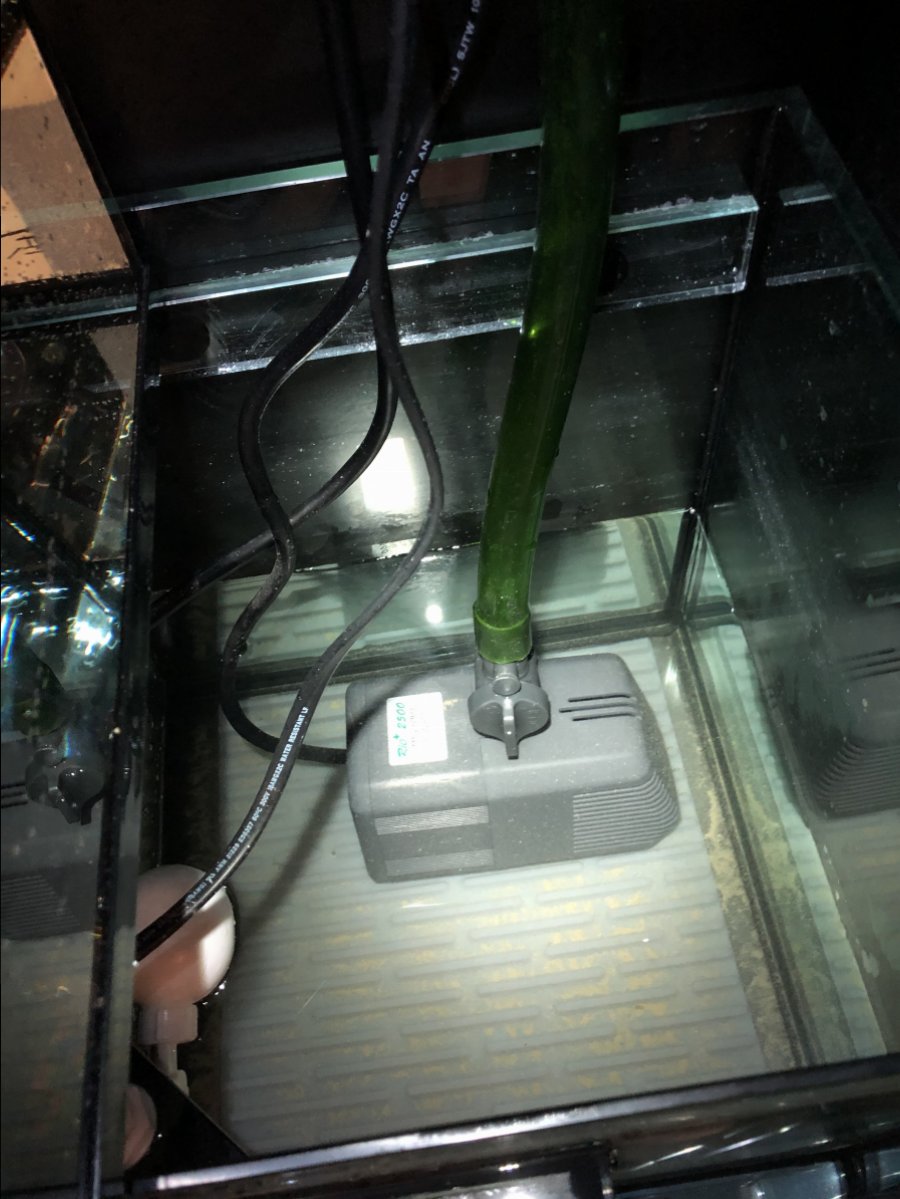 BD97825A-4711-4BE5-987D-439C65C1DEC9.jpeg