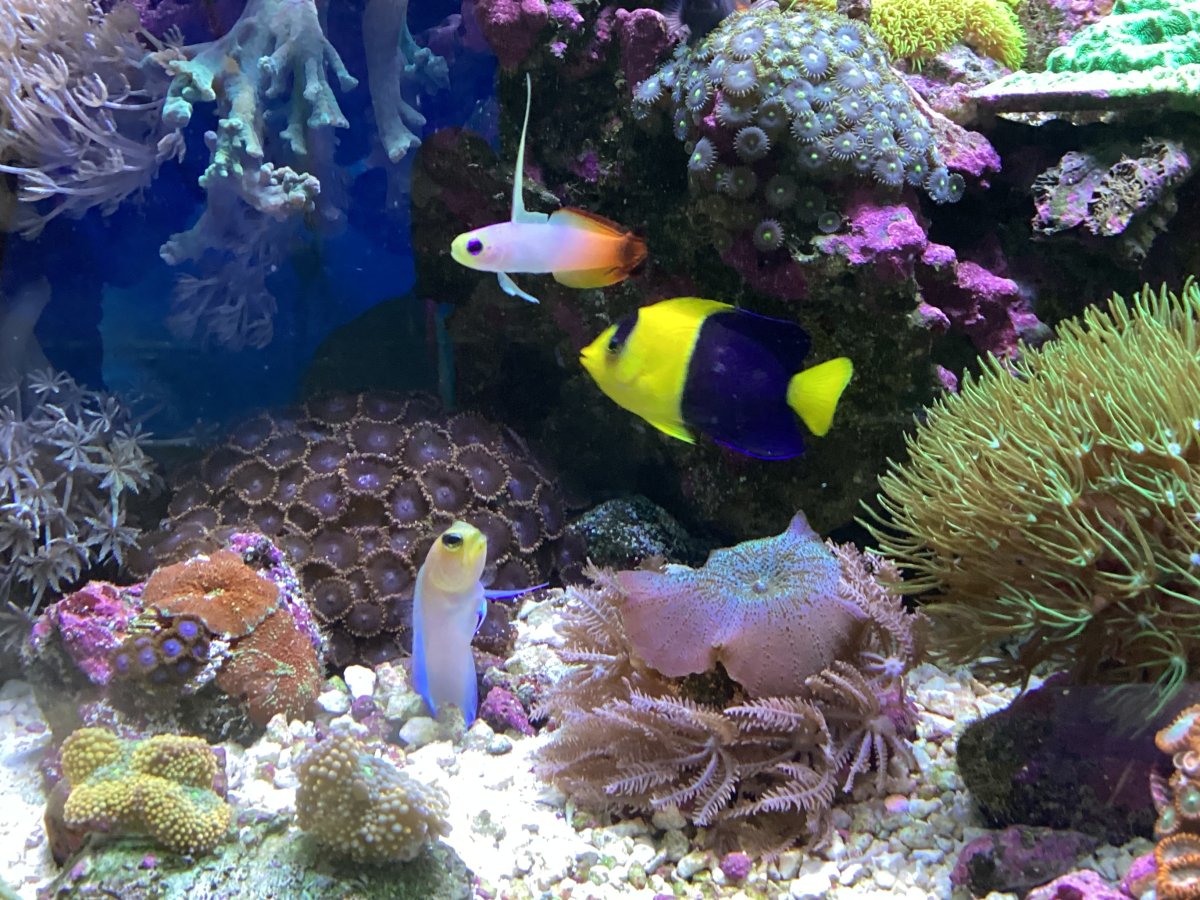 QUESTION OF THE DAY - Fintastic photo gear: What are the top photo ...