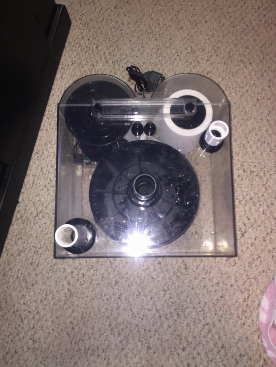 BDF8ABF2-E193-40A3-84BA-7D0D0201F434.jpeg