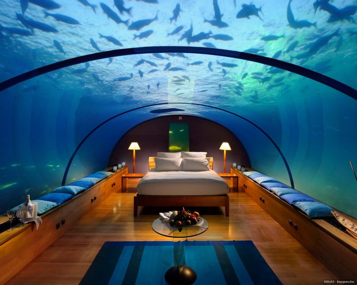 beautiful-house-aquarium-with-bill-gates-house-aquarium-awesome-underwater-aquarium.jpg