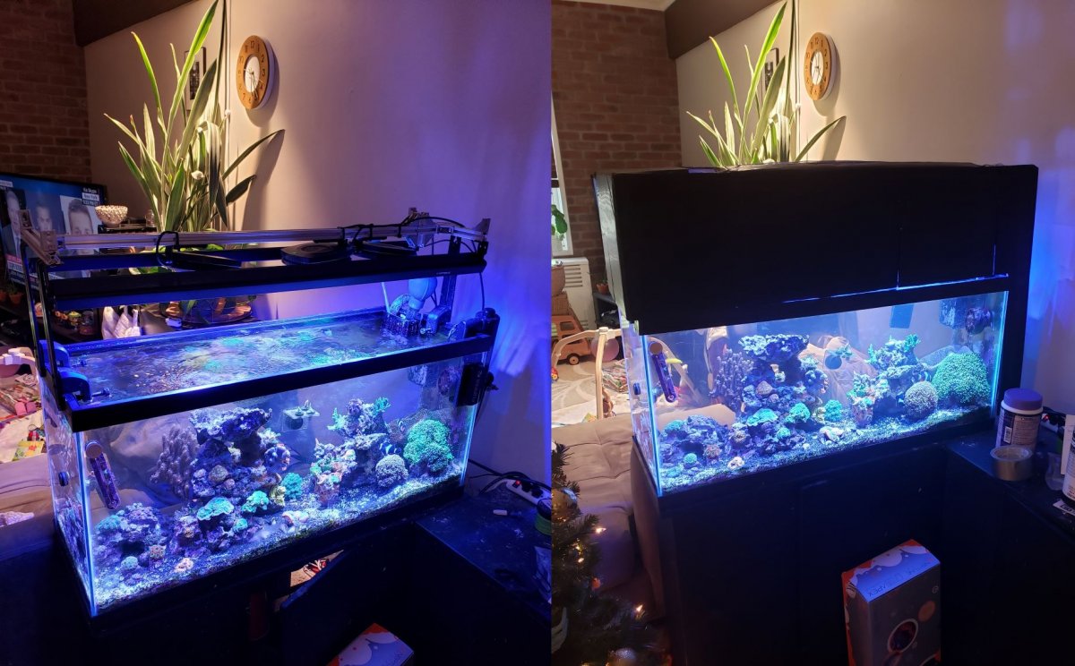 $10 DIY Canopy | Reef2Reef