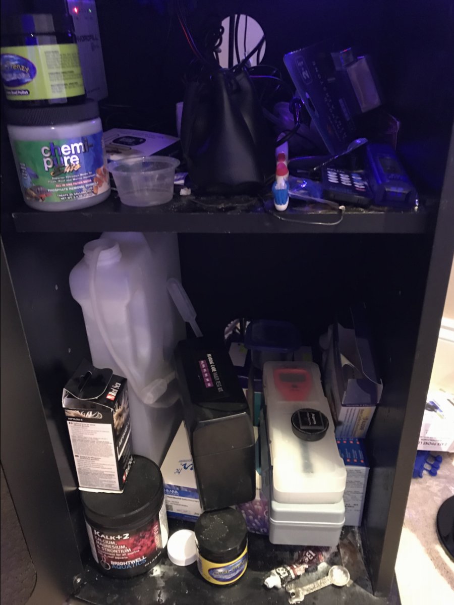 before.jpg