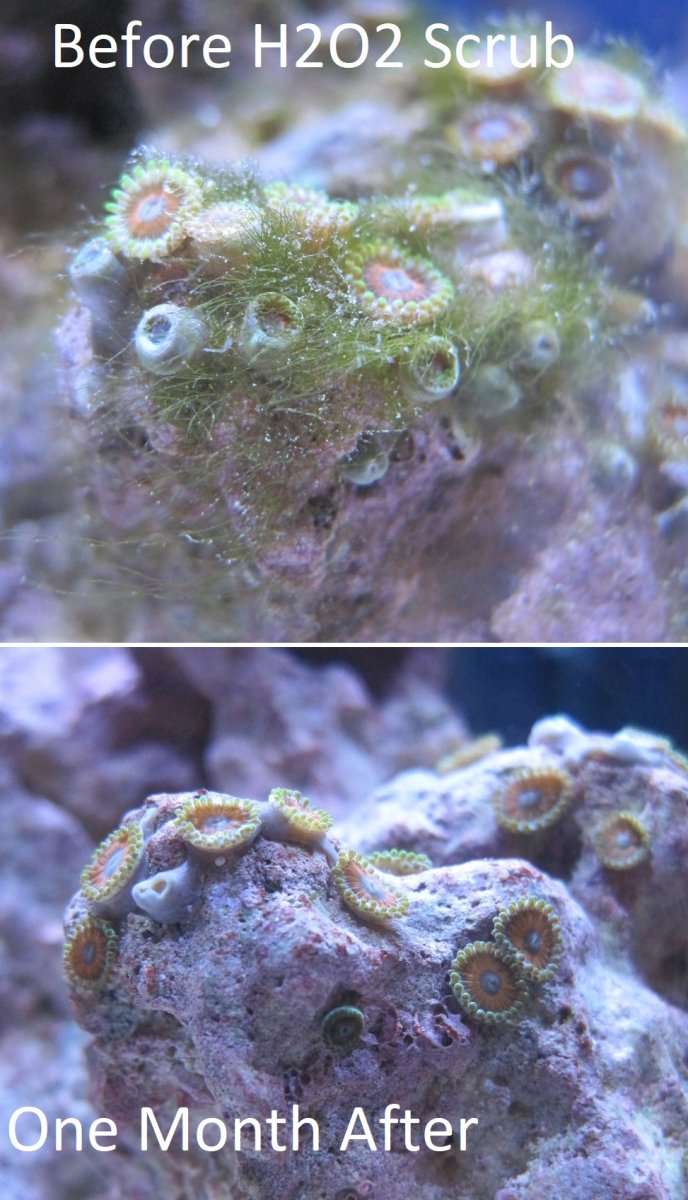 BeforeAfter.jpg