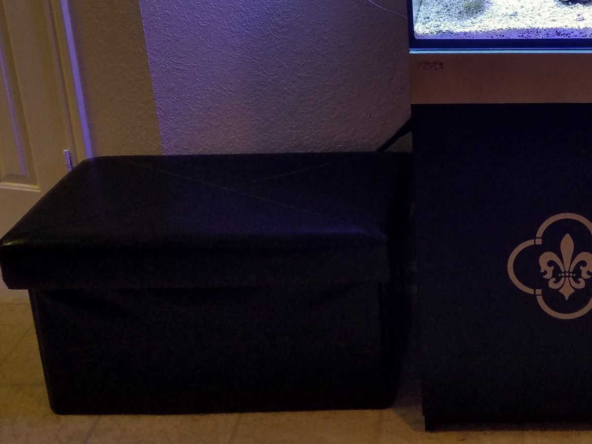 bench.jpeg