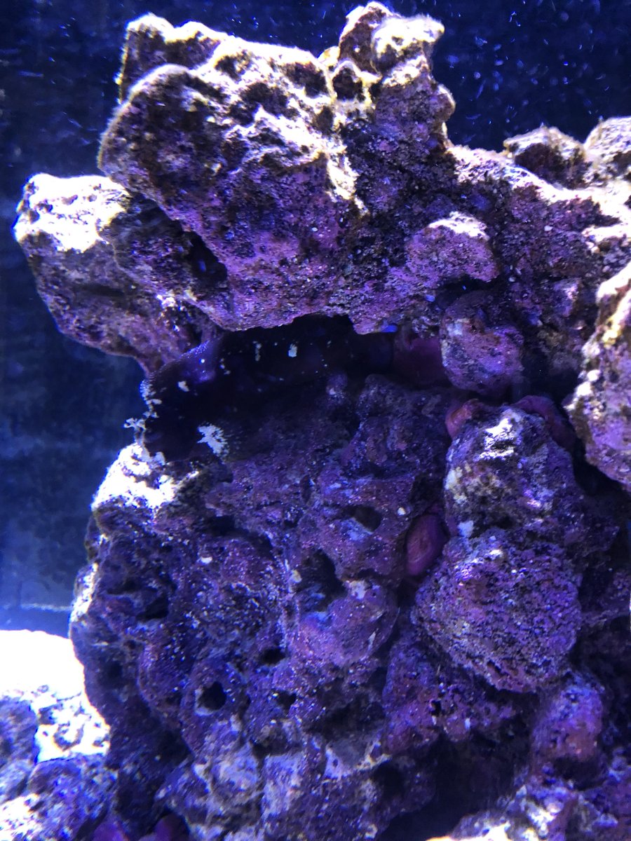 benny1.jpg