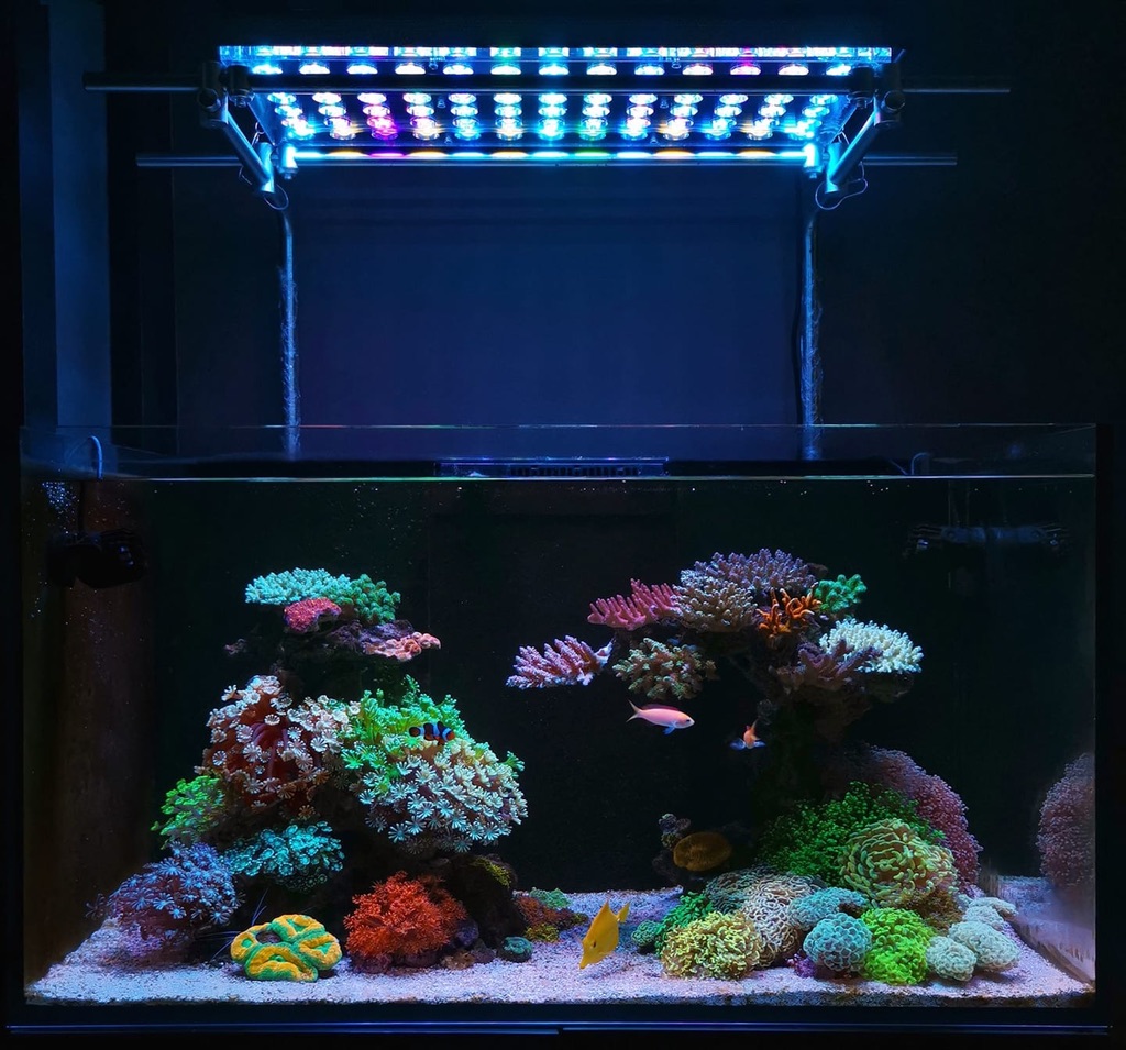 Best-Reef-aquarium-LED-lights-2020-Orphek.jpg