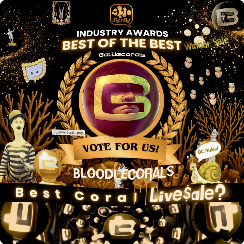 bestlive.jpeg