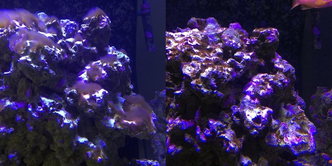 bha_then_now.jpg