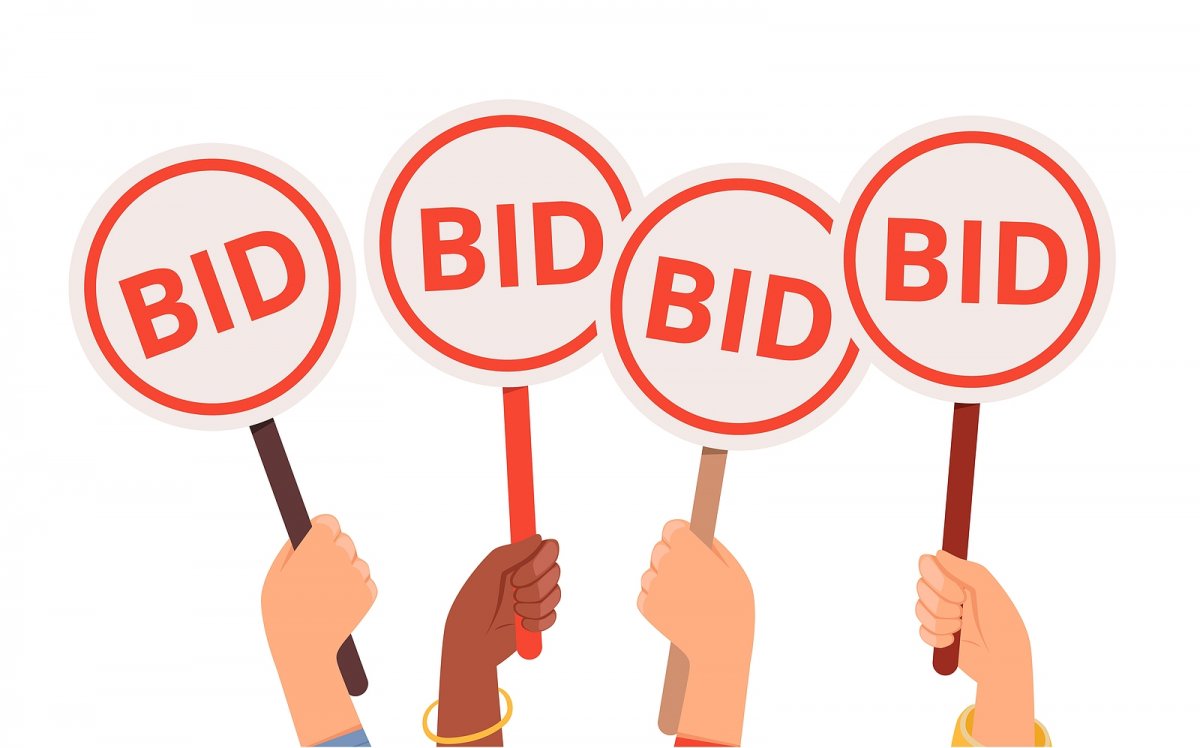 bigstock-Bidding-Process-Auction-Paddl-401821193.jpg