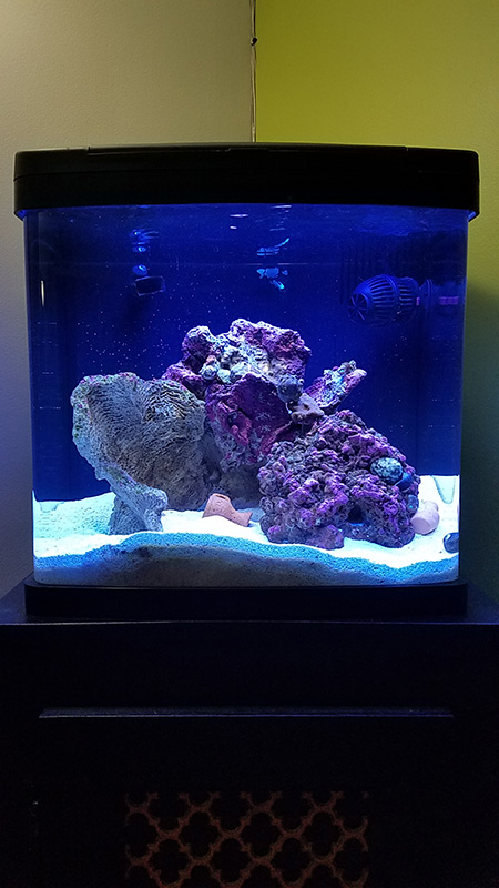 Biocube_1.jpg