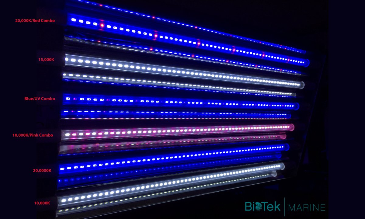 BioTek-Marine-LED-Lights2 copy.jpg