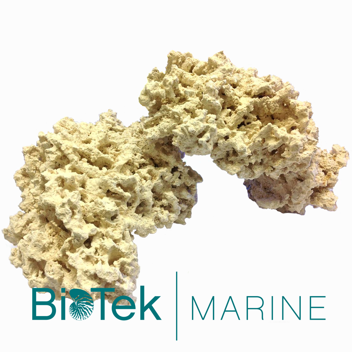 BioTek-Marine-with-logo.jpg