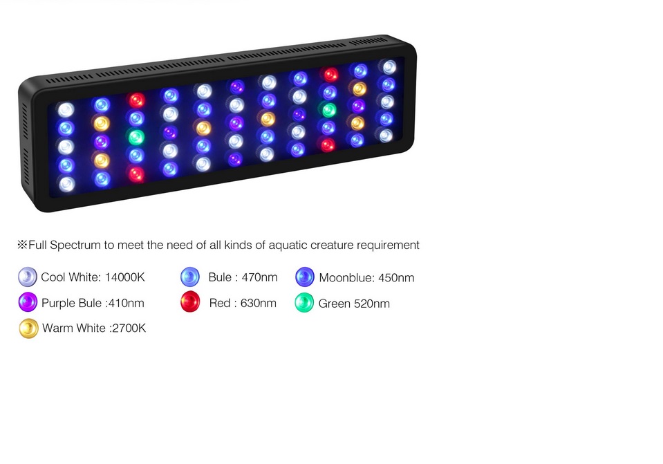 ブラックボックス LED Changing LED's in black box for better coloration + growth