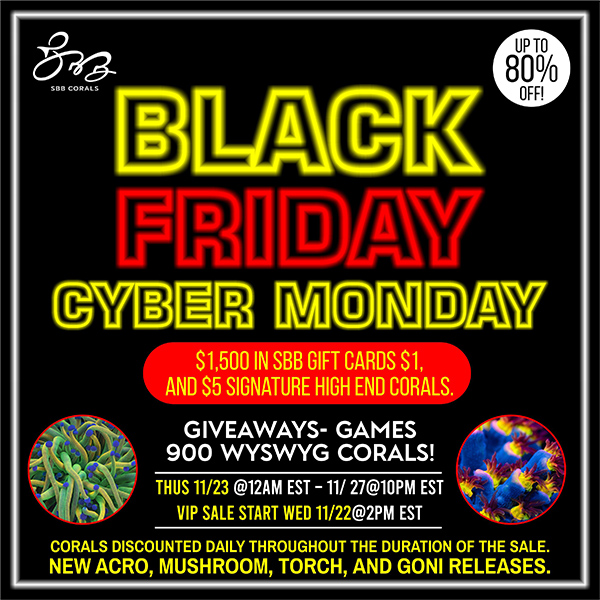 Black Friday- Cyber Monday Mega sale! 2-1-1.jpg