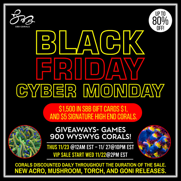 Black Friday- Cyber Monday Mega sale! g-1.jpg