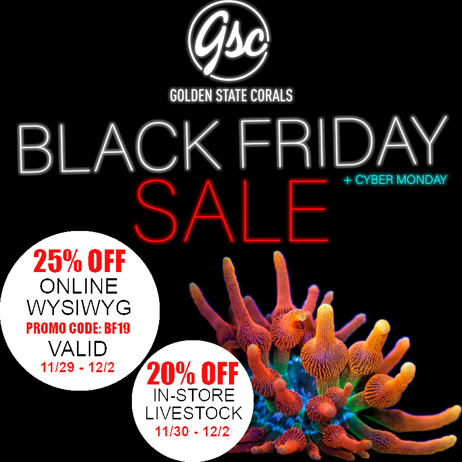 Black Friday Sale.JPG