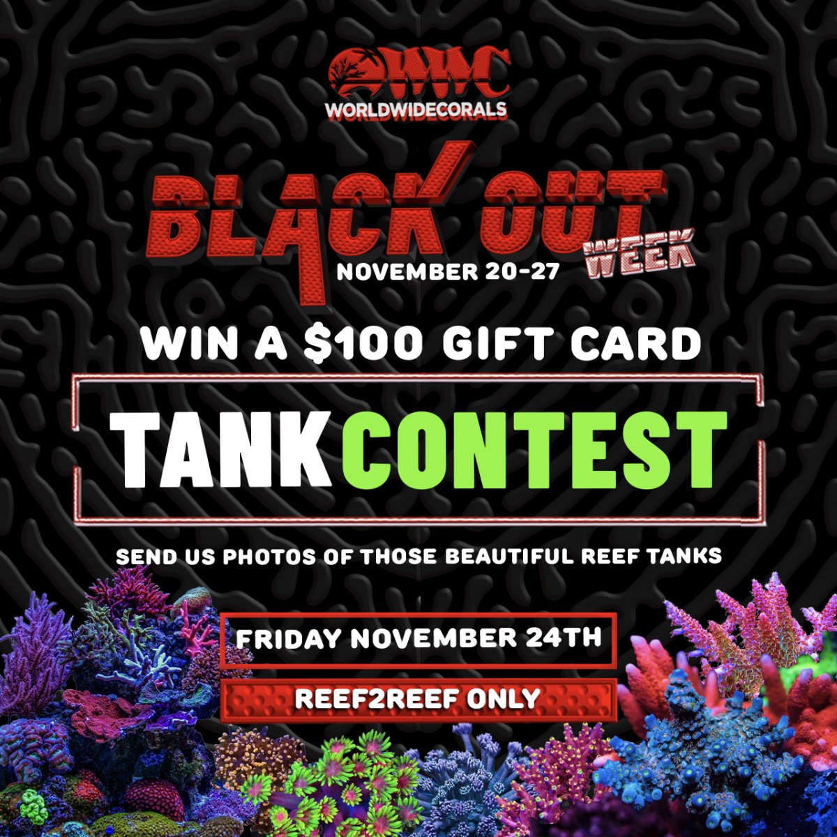 black out tank contest.jpg