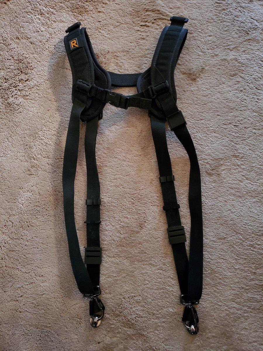 BlackRapid harness.jpg