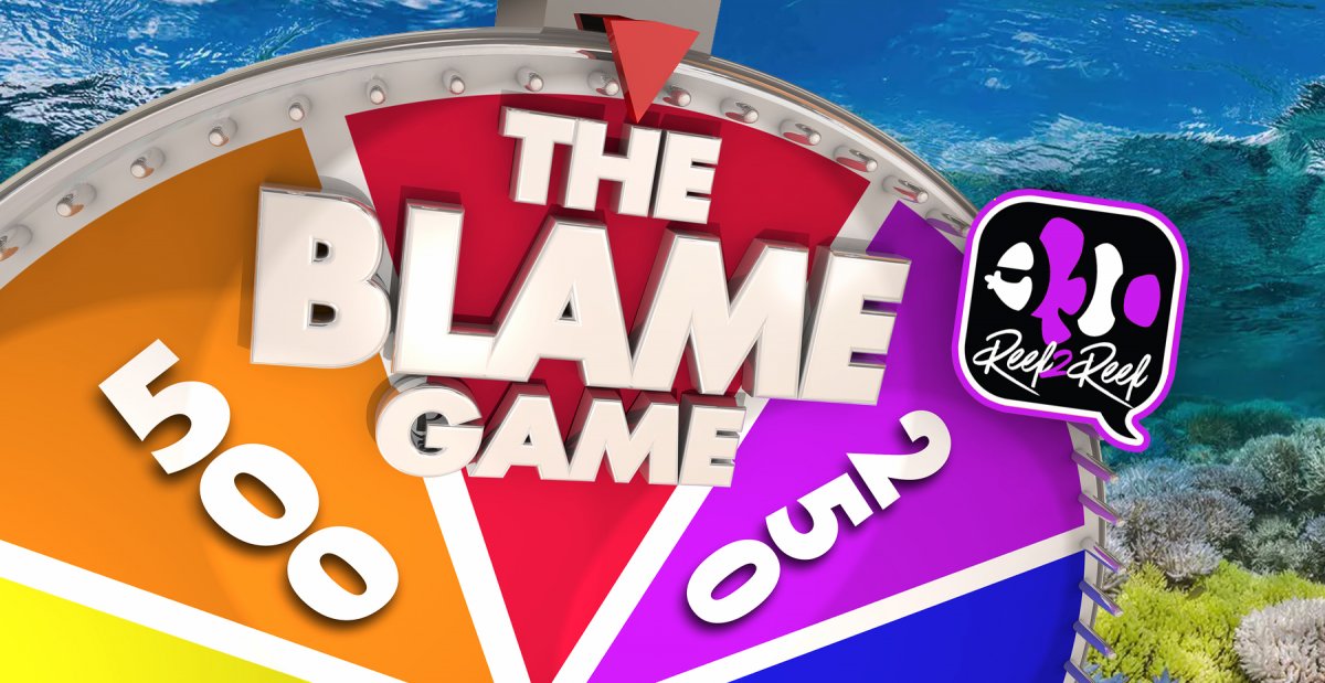 Blame Game copy.jpg