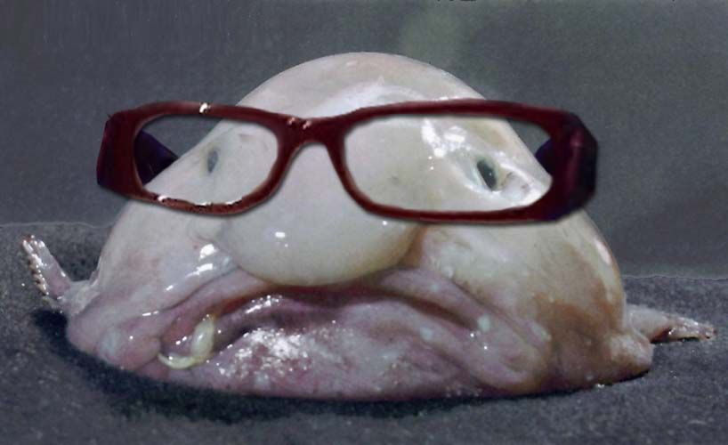 blobby.jpg