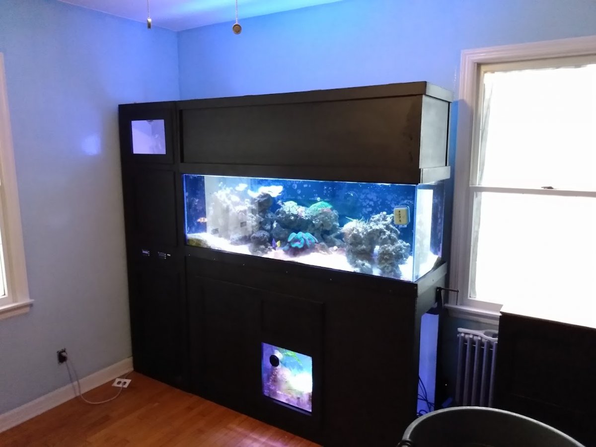 Blue Fish Room.jpg