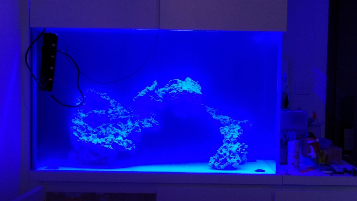blue.jpg