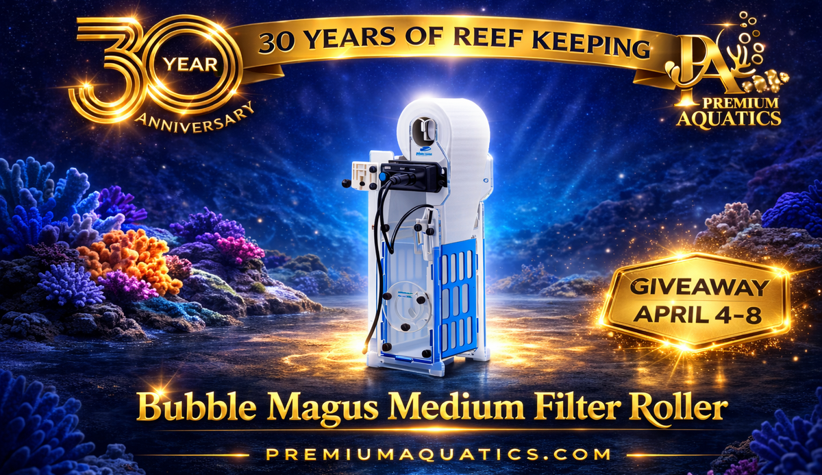 BM Filter SITE BANNER.png
