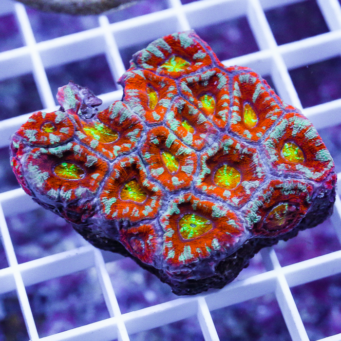 boiling-point-acan-90-139.jpg