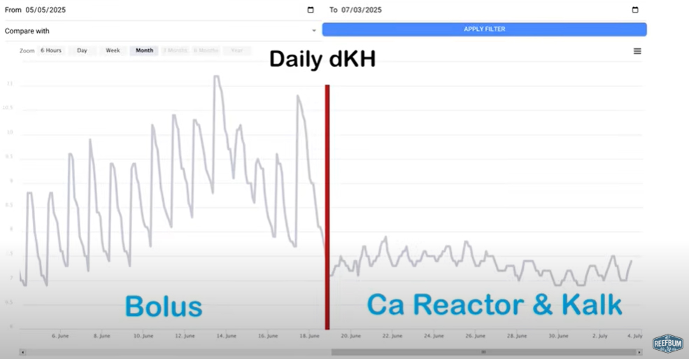 bolus.jpg