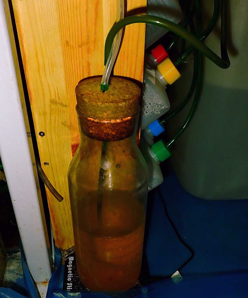 bottle2.jpg