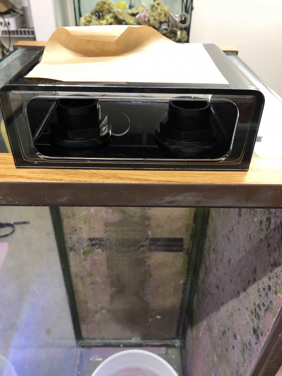box test fit.jpg