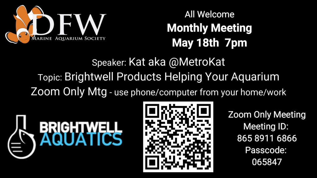Brightwell Meeting Flyer approved by MetroKat.PNG
