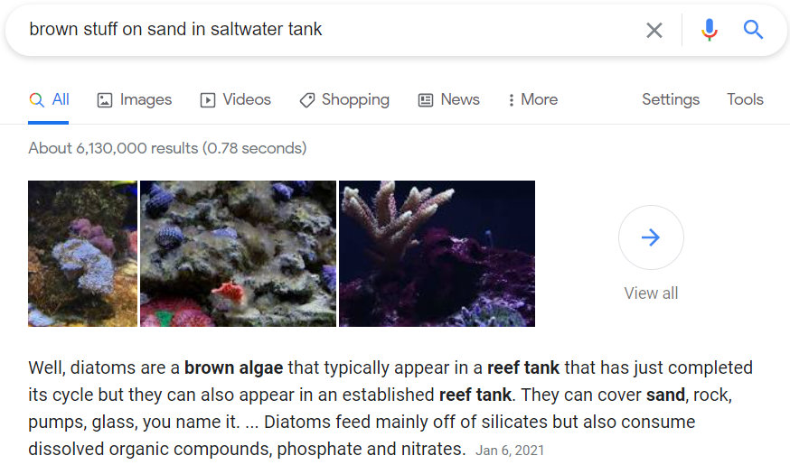 brown algae.PNG