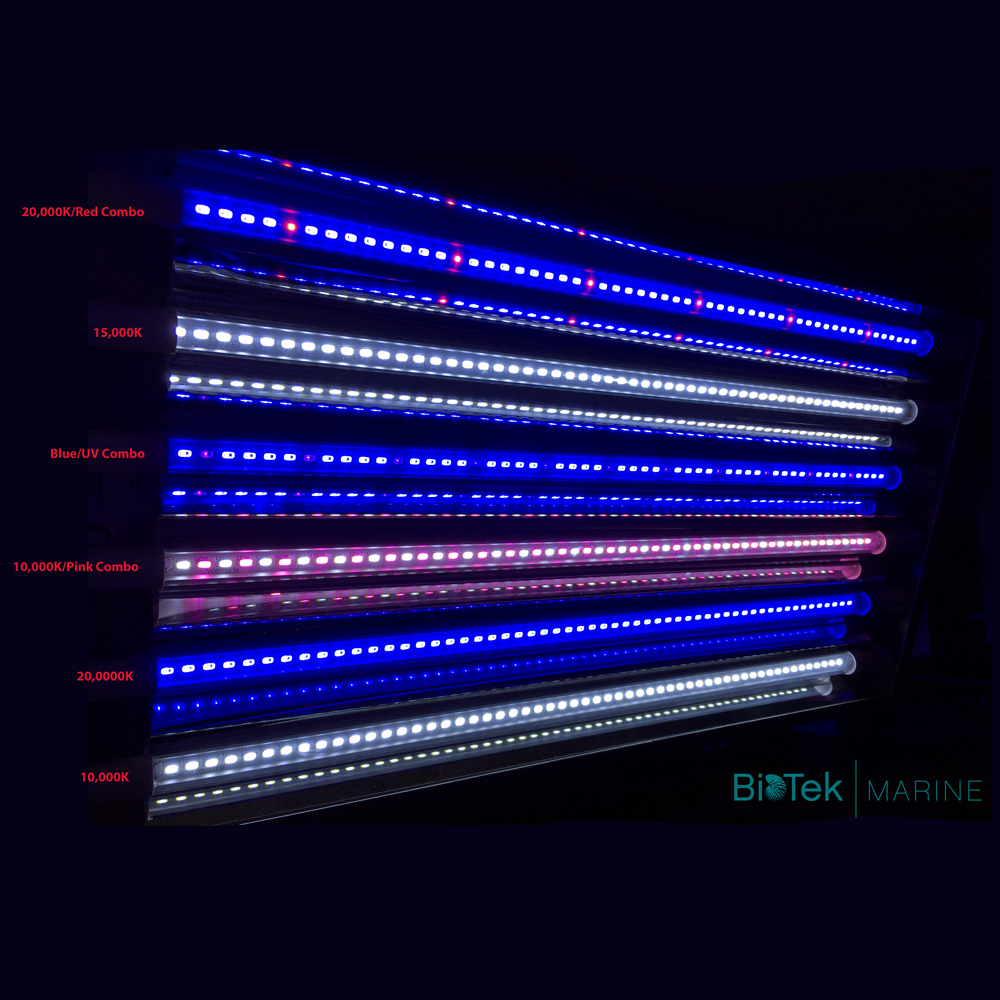 BTM-B5-LED.jpg