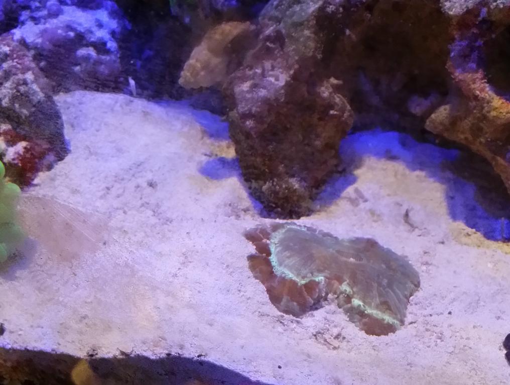 bubble.jpg