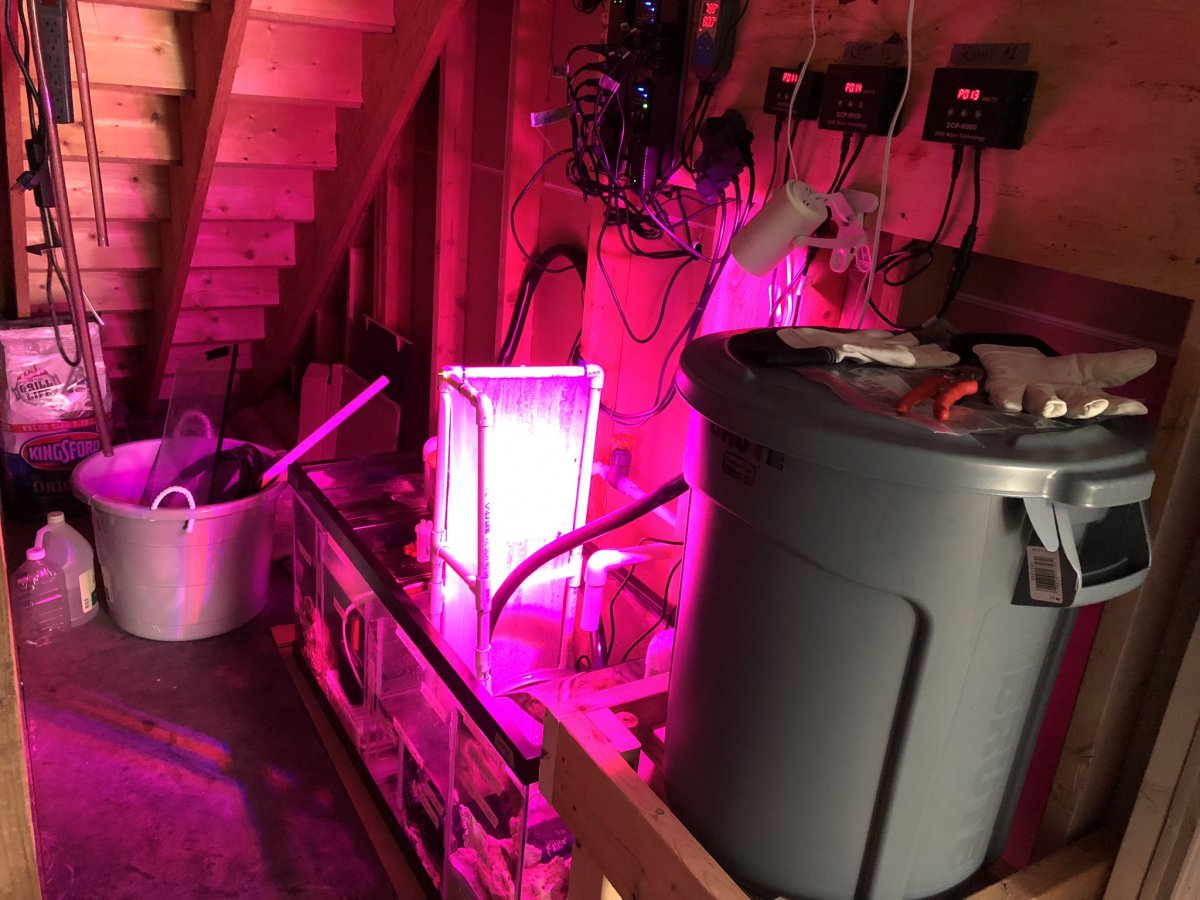 Build 1 - Return Chamber Install.JPEG