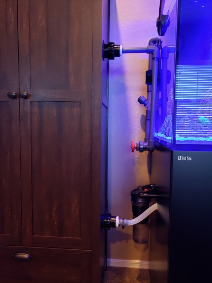 build2.jpg