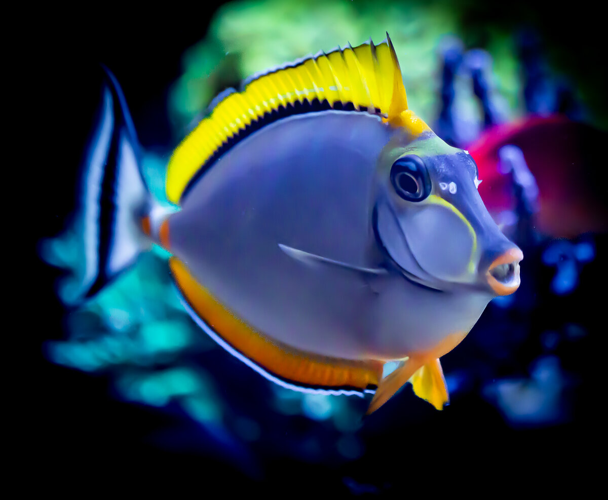 BW5A2863-7.jpg