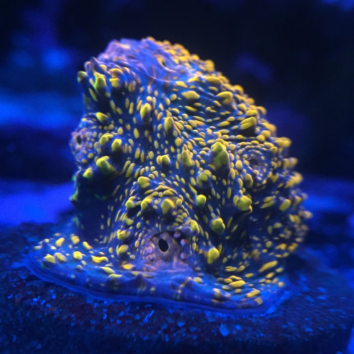 C035CFE2-E65A-4135-A496-A7C96079BA09.jpeg