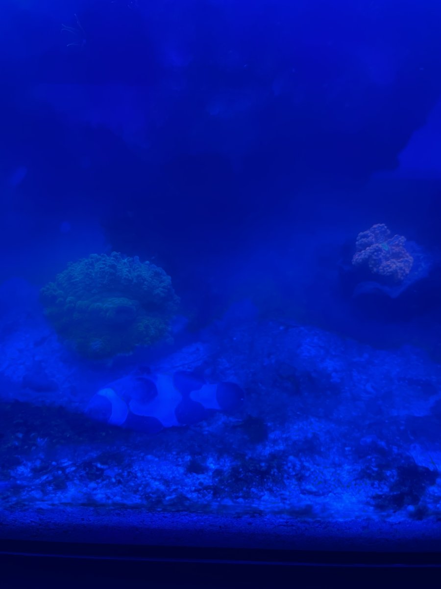 C1A9072F-5D38-471E-8A1D-08BDEA2FD595.jpeg