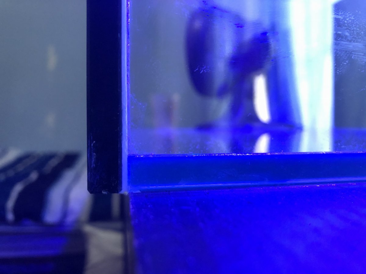 C20D95E3-38E4-42F2-9389-A2A30F72DC6C.jpeg